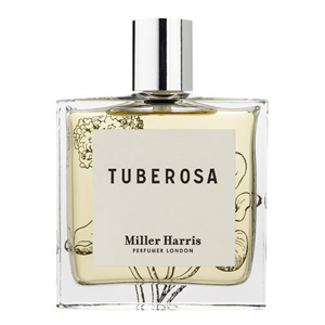 Tuberosa