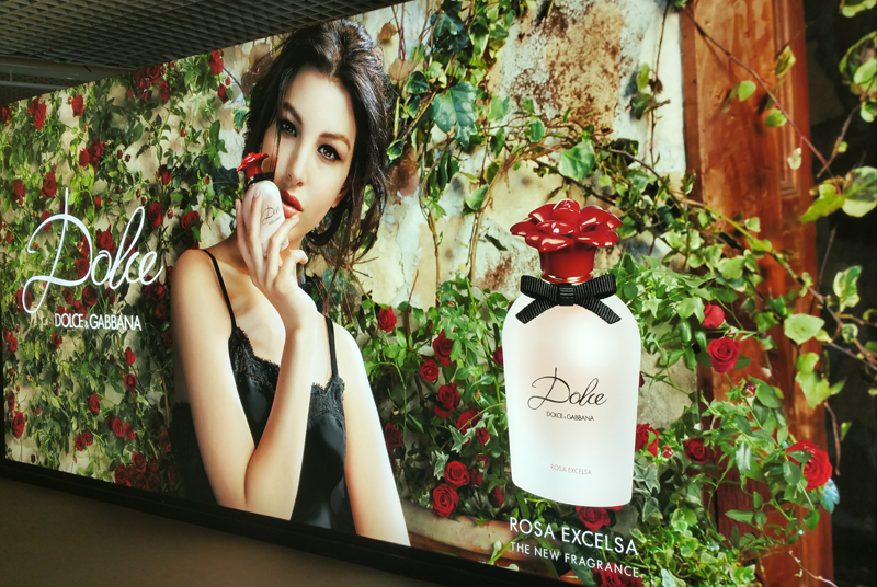 Dolce Rosa Excelsa