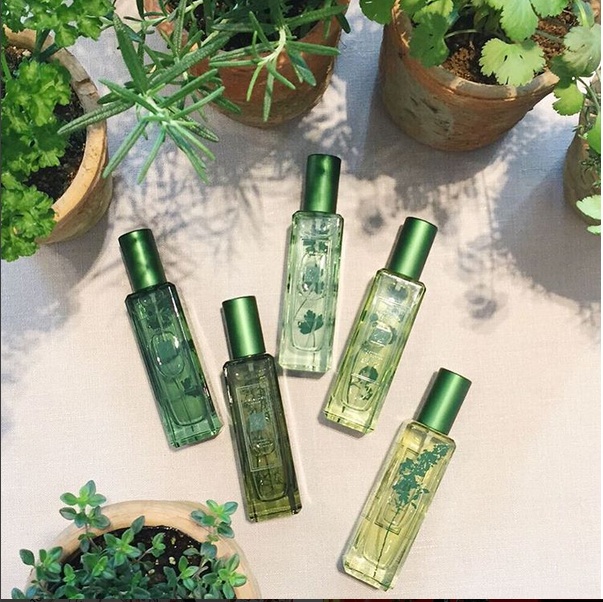 Jo Malone Sorrel & Lemon Thyme