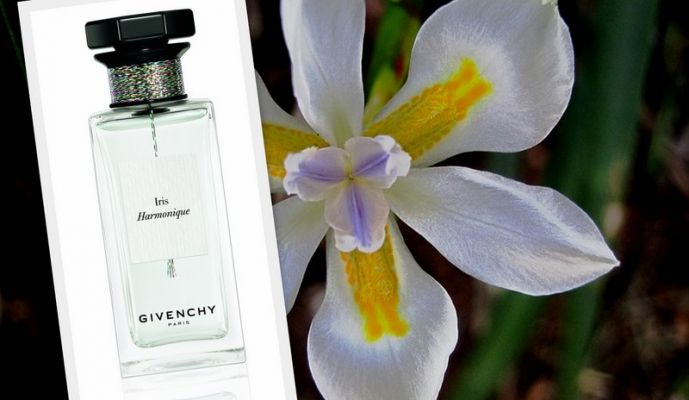 Givenchy Iris Harmonique