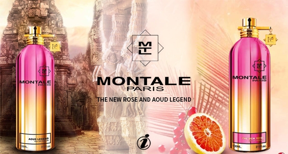 Montale The New Rose