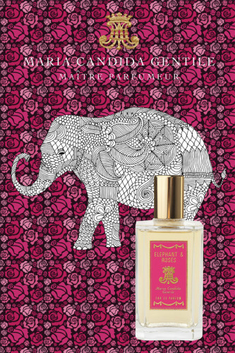 Elephant & Roses