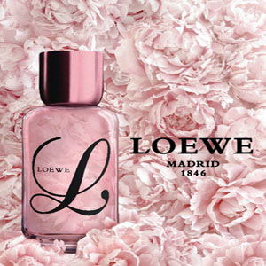 Loewe Loewe L