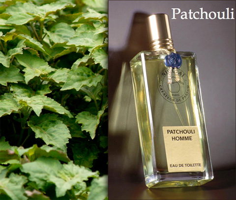 Patchouli Homme