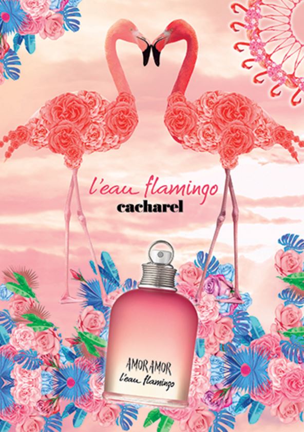 Amor Amor L`Eau Flamingo