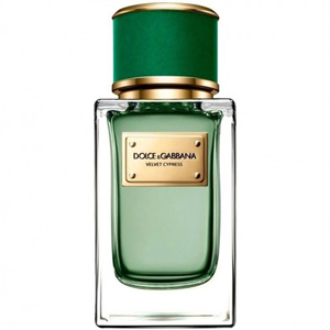 Dolce & Gabbana Velvet Cypress