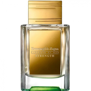 Ermenegildo Zegna Strength