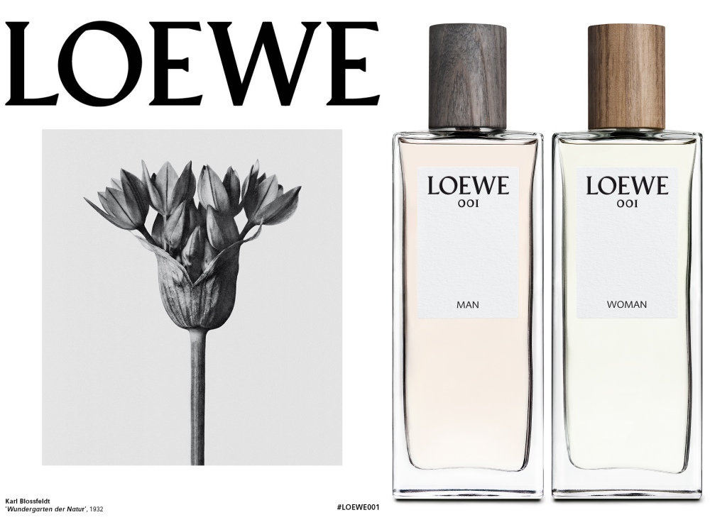 Loewe 001 Man