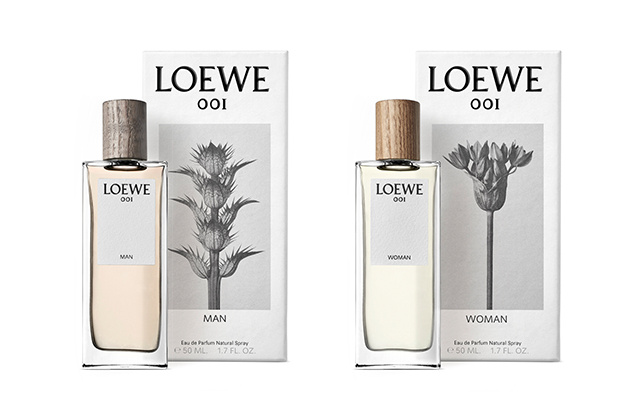 loewe perfume women
