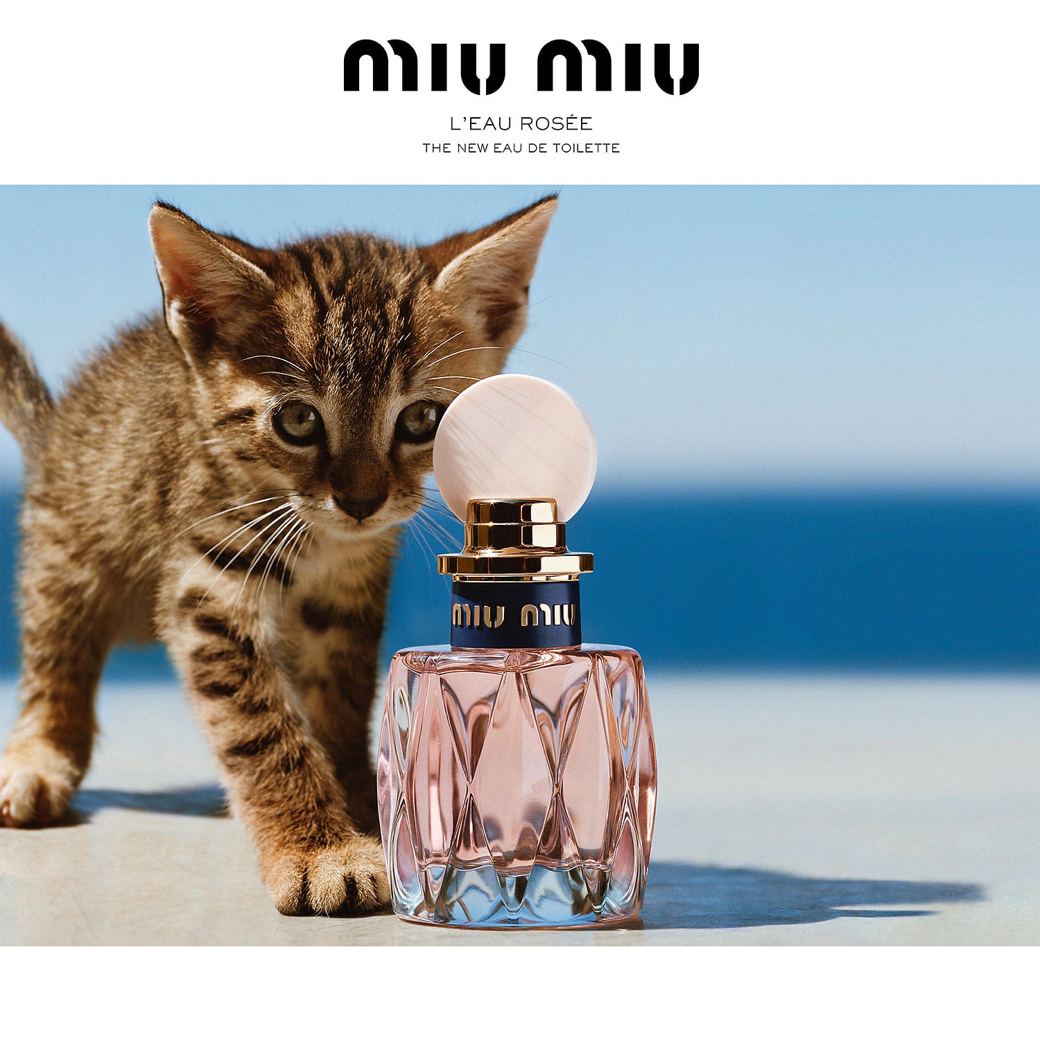 Miu Miu L`Eau Rosee