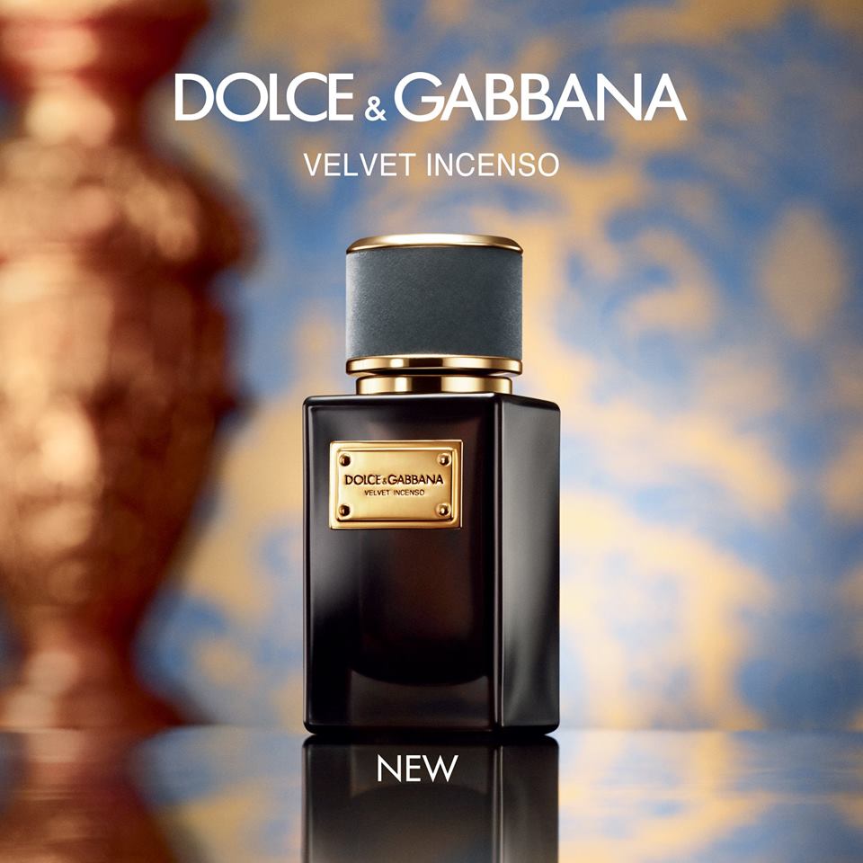 dolce and gabbana velvet incenso