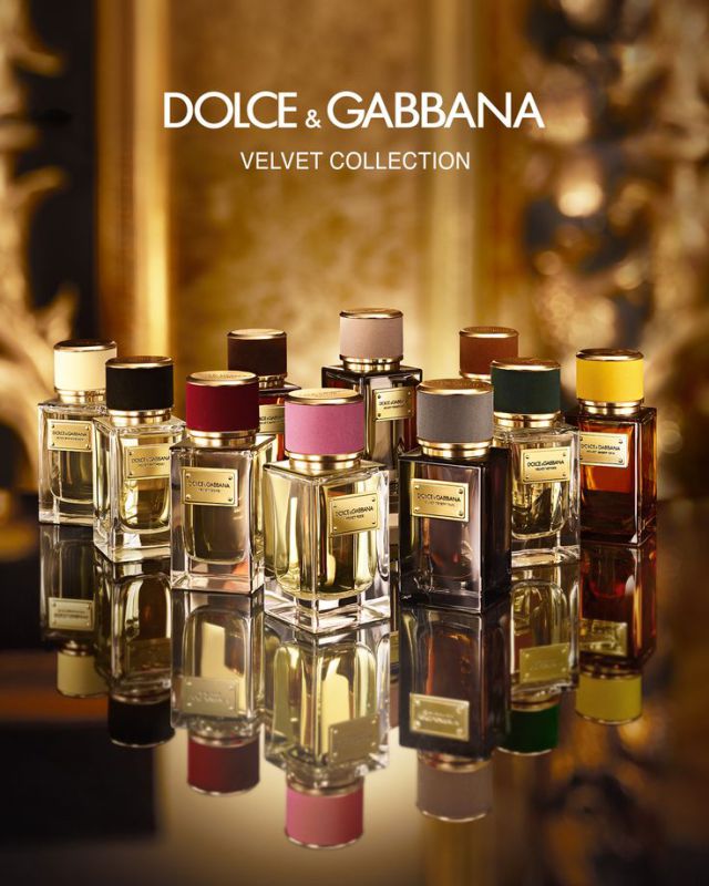 dolce & gabbana velvet incenso