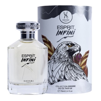 Esprit Infini