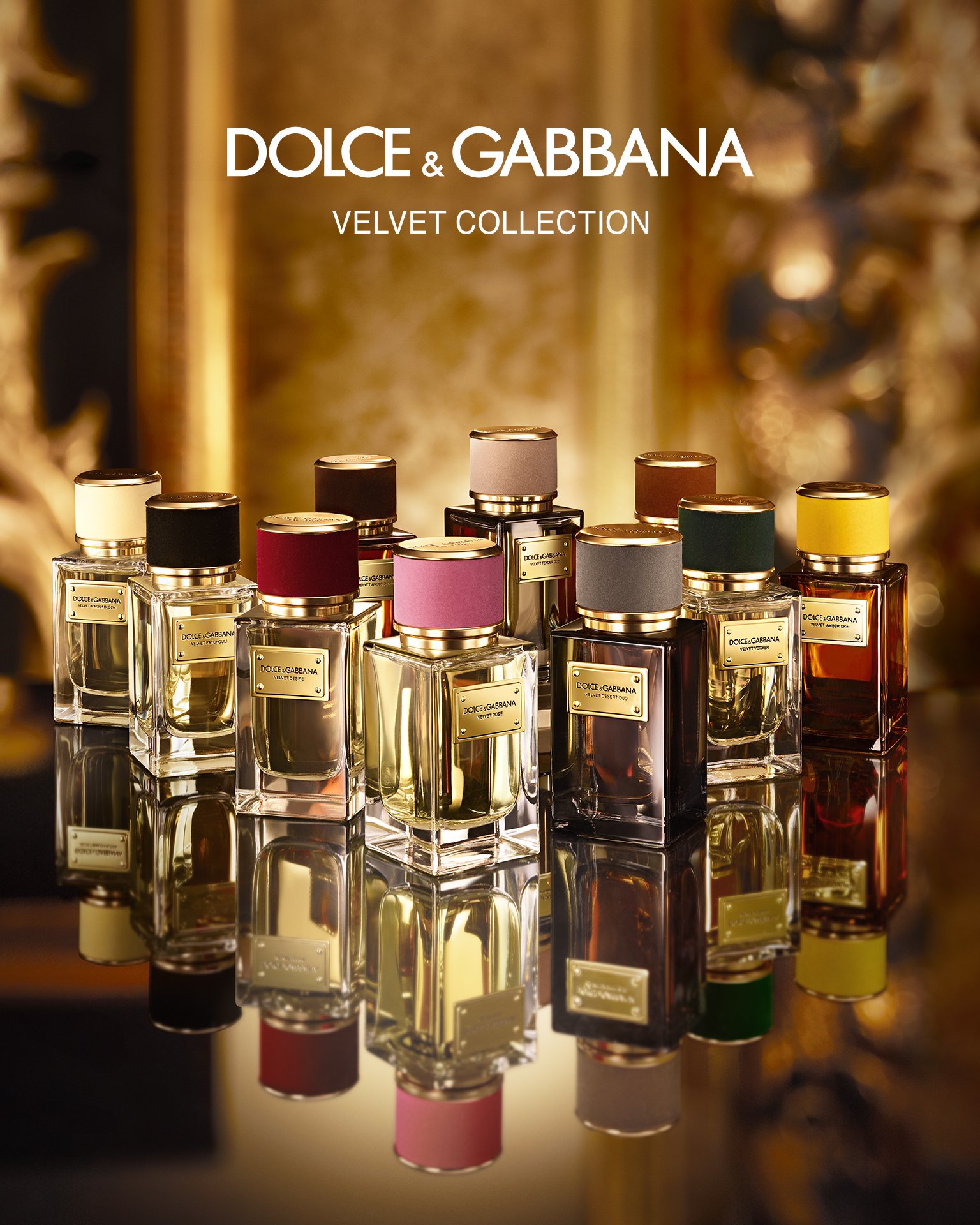 D&g velvet sicily on sale