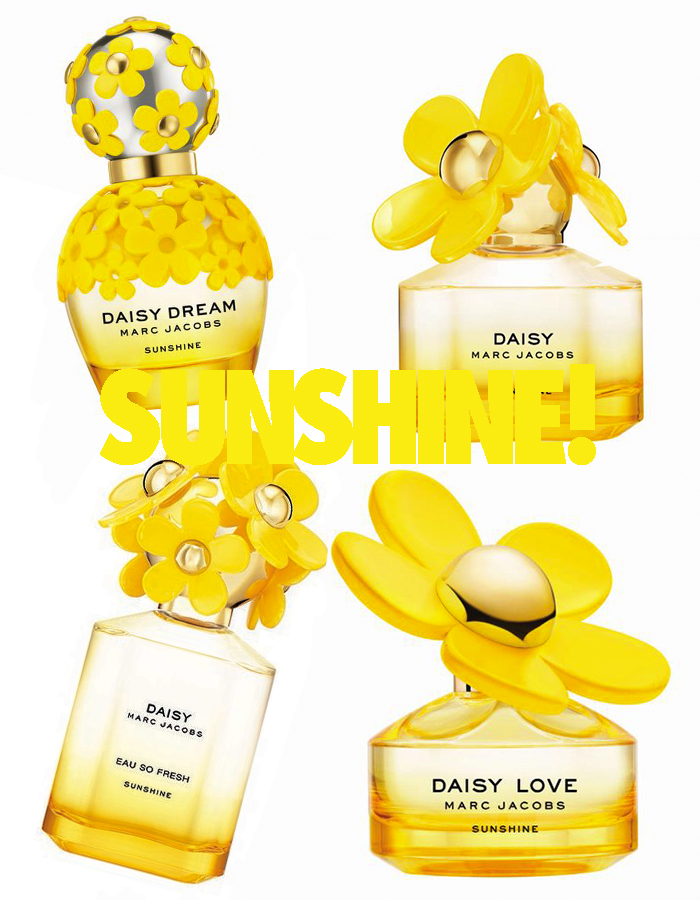 Daisy Love Sunshine