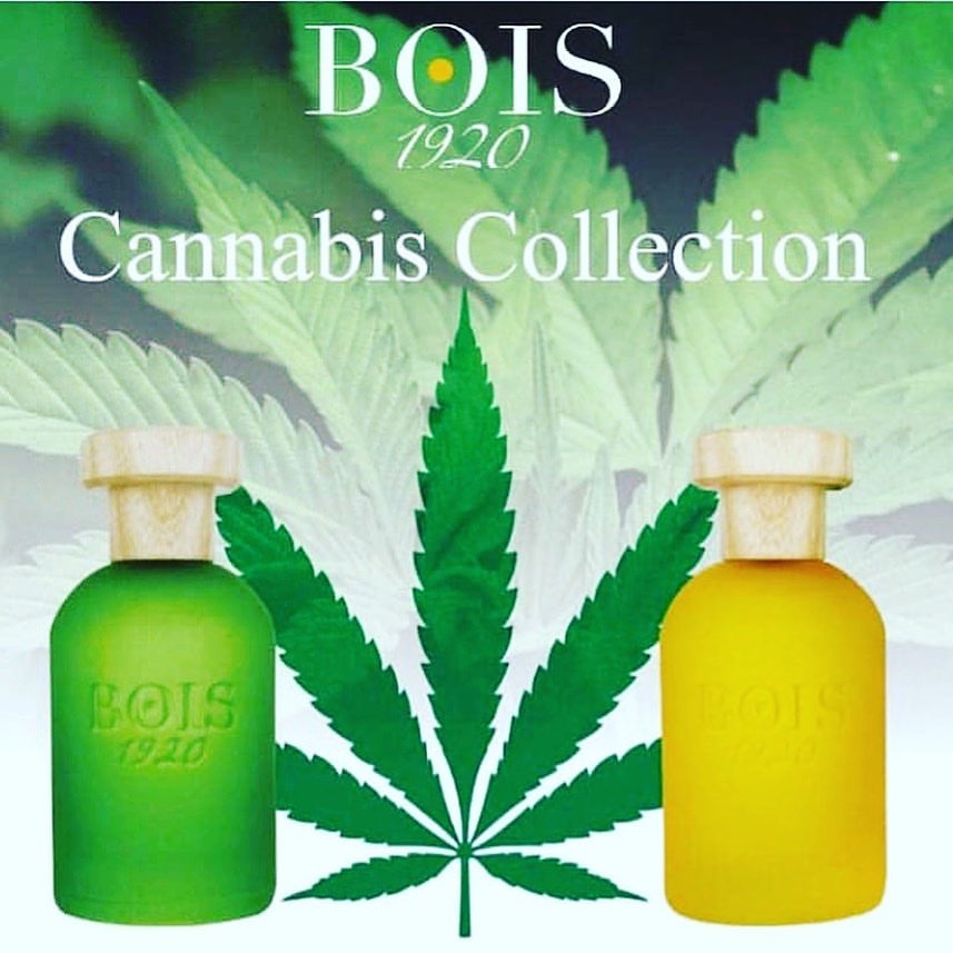 Bois 1920 Cannabis