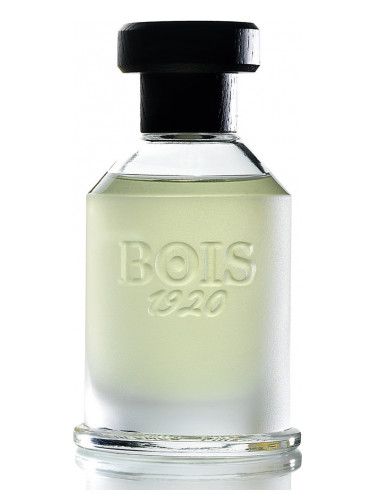 Bois 1920 Sopra Il Mare