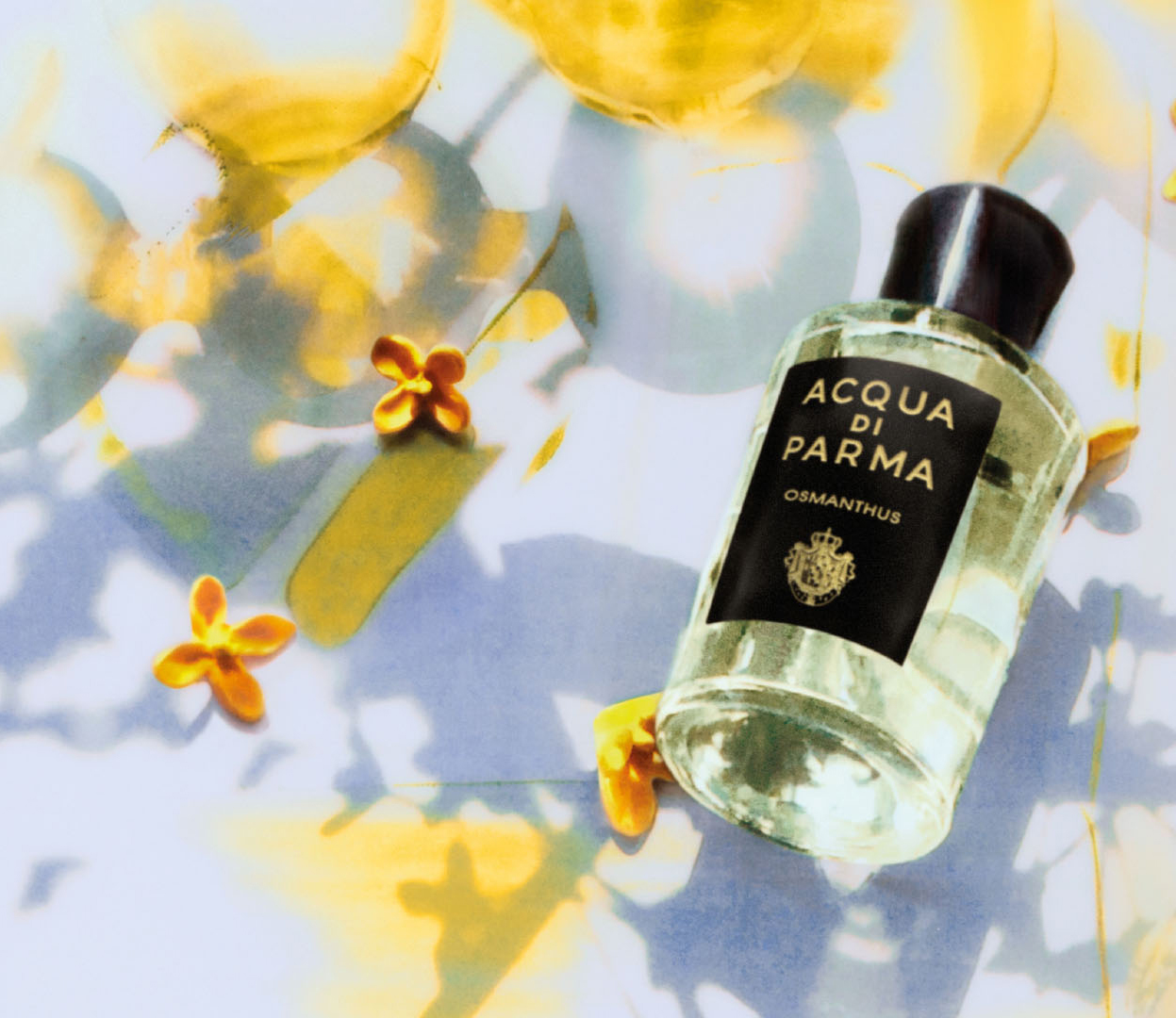 Osmanthus Eau de Parfum