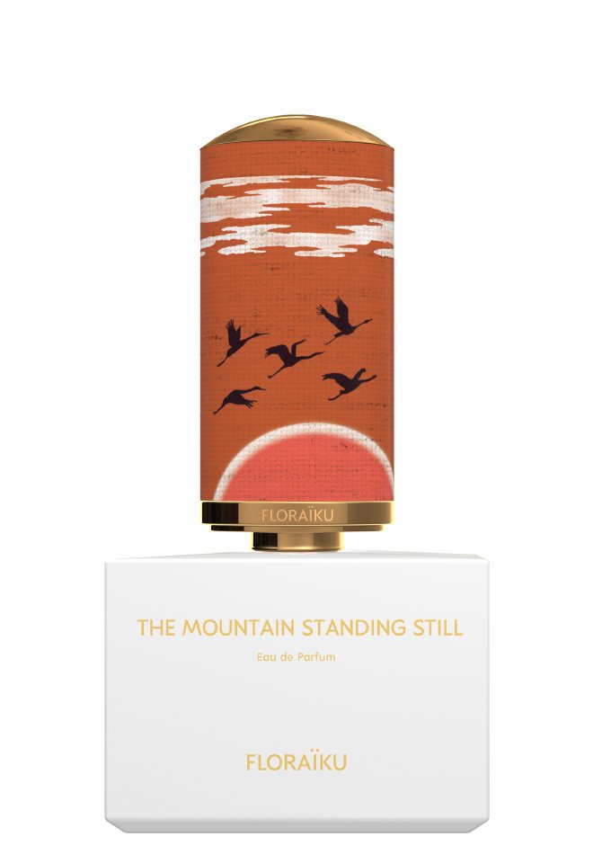 The Mountain Standing Still