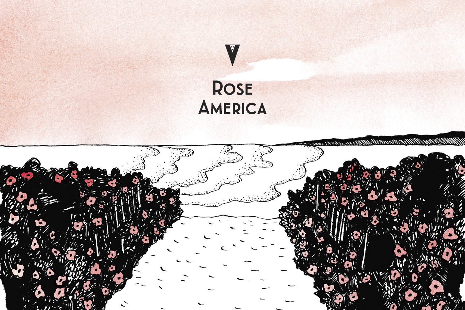 Rose America