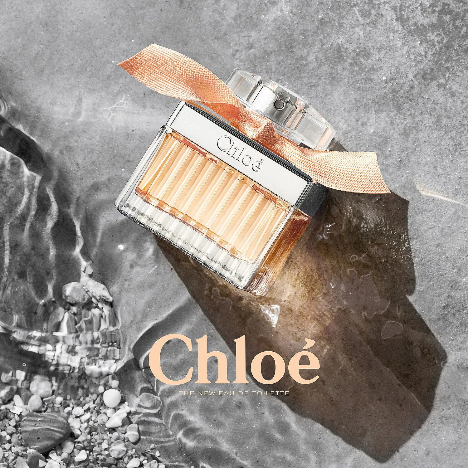 Chloe Rose Tangerine