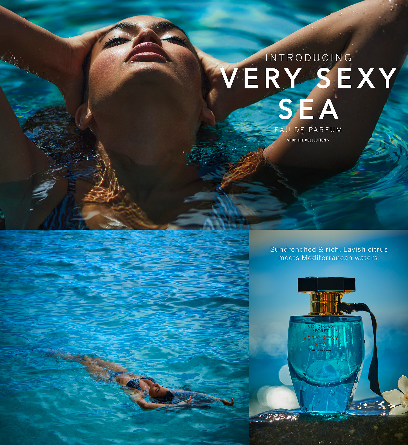 sea q-teaze analei 