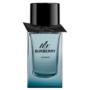 Burberry Mr. Burberry Element