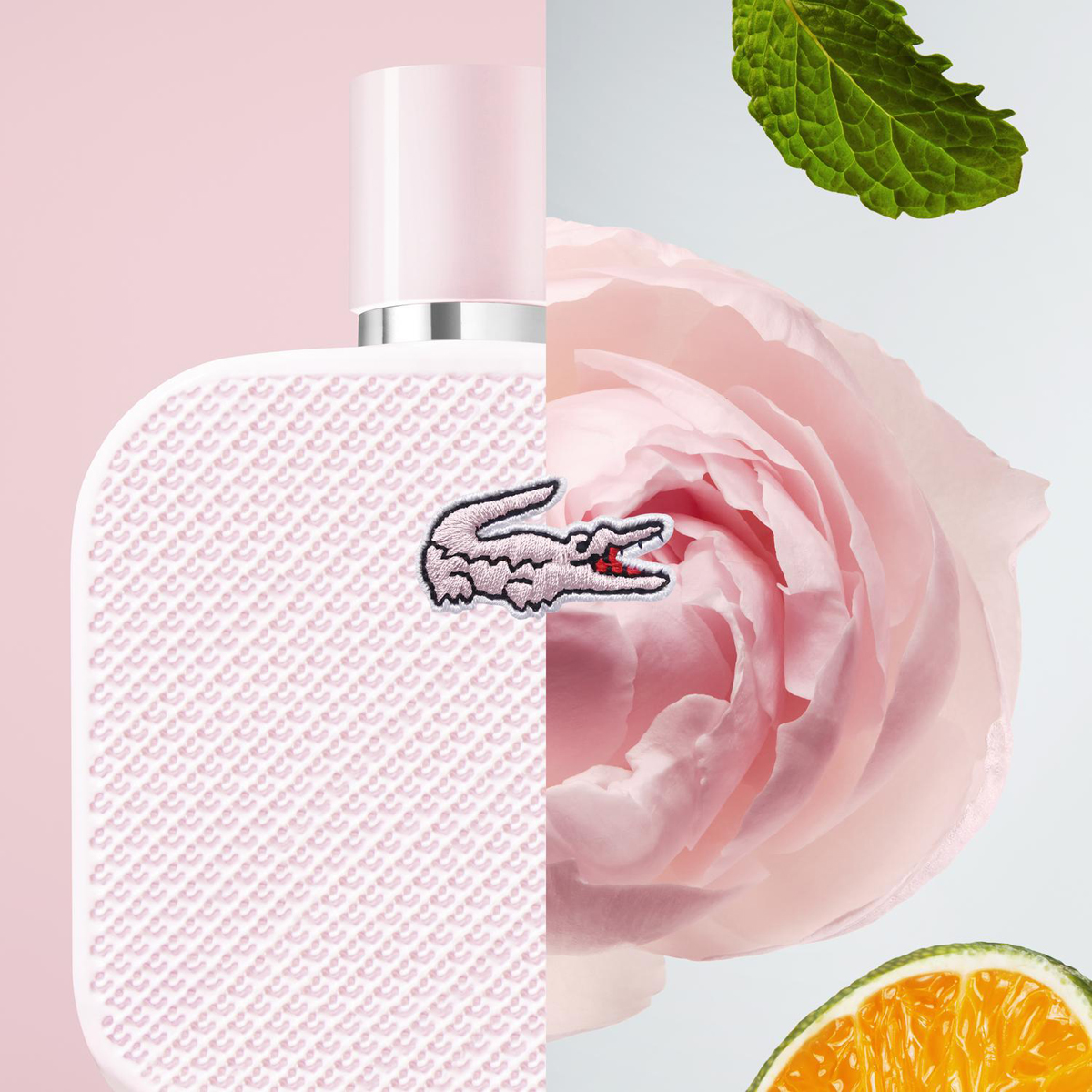 L.12.12 Rose Eau de Parfum