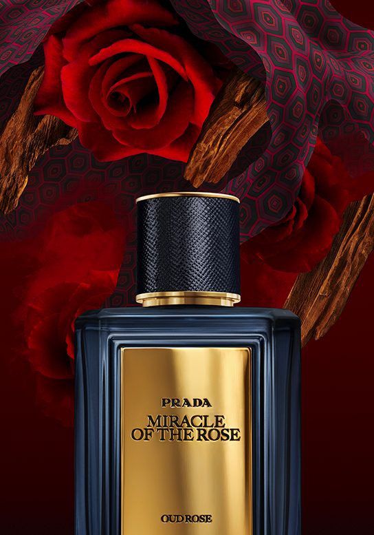Discenter Prada Miracle of the Rose