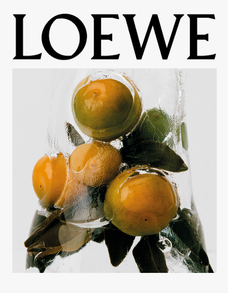 Loewe Agua 44.2