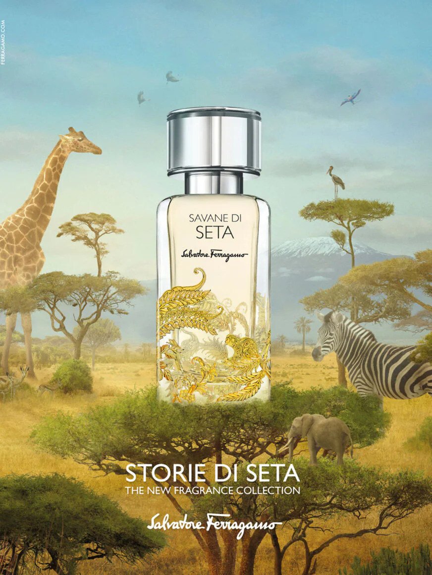 Savane di Seta