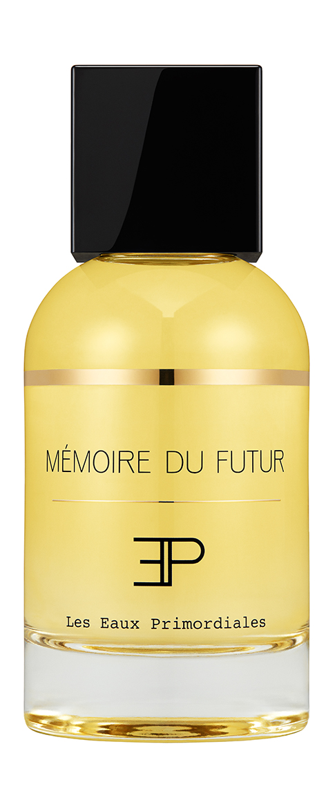 Memoire du Futur