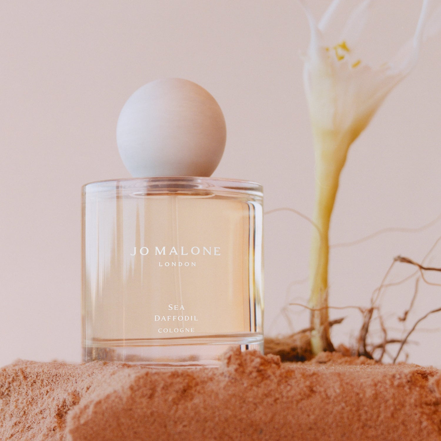 Jo Malone Sea Daffodil