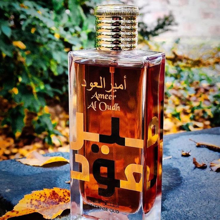 Ameer Al Oudh Intense Oud