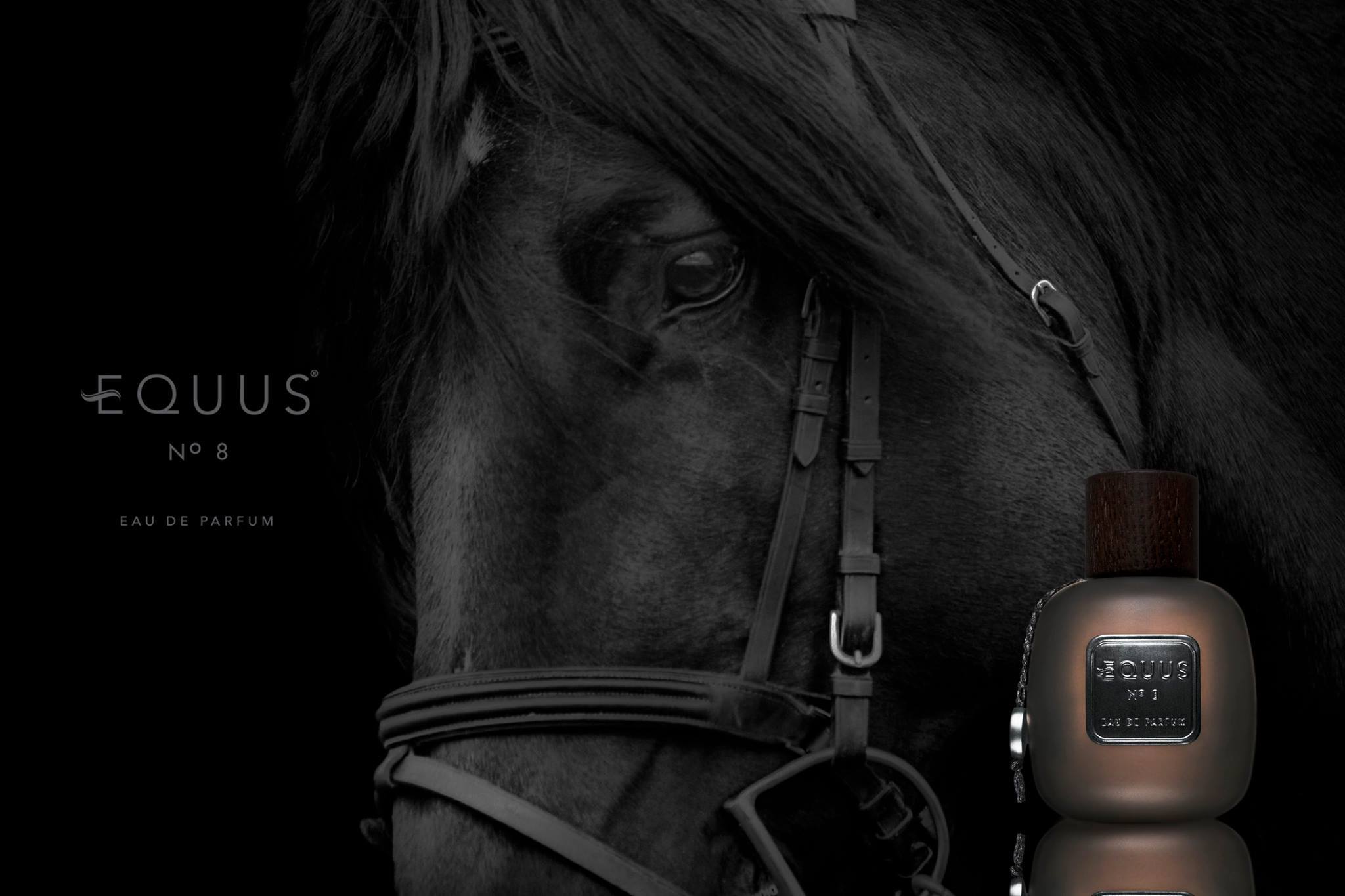 Equus No 8