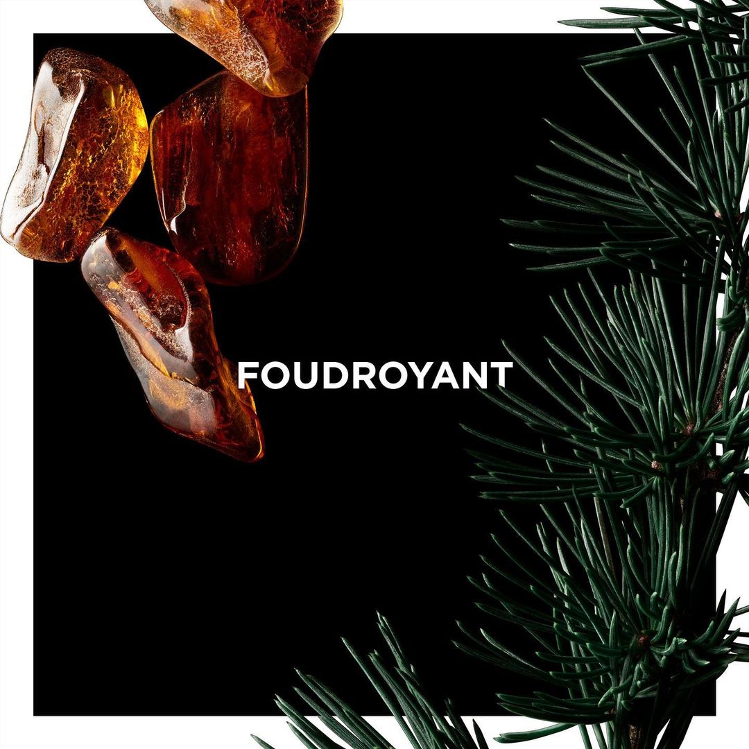 Foudroyant