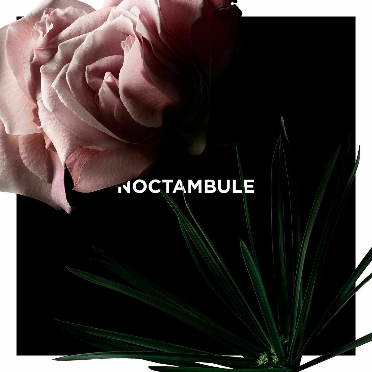 Noctambule