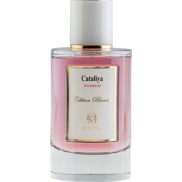 Maissa Parfums Cataliya