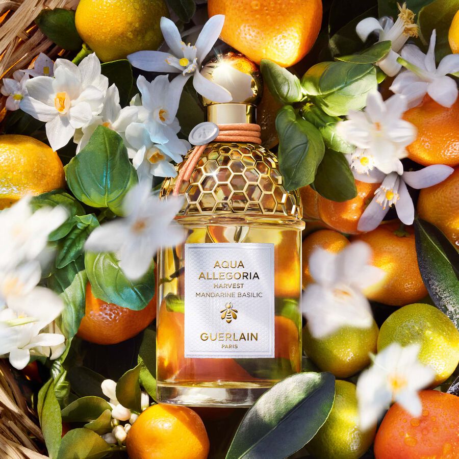 Aqua Allegoria Mandarine Basilic Harvest