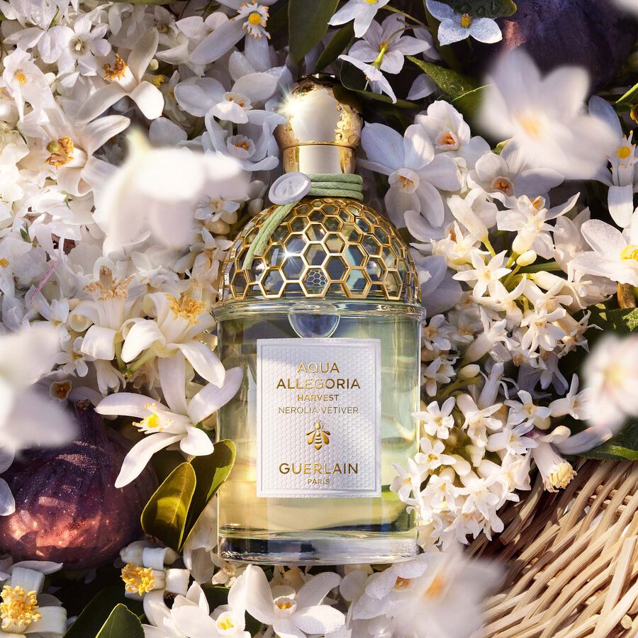 Guerlain aqua allegoria vetiver. Аква аллегория герлен ветивер нероли. Guerlain Aqua Allegoria коллекция. Aqua Allegoria Guerlain 25 мл. Guerlain Aqua Allegoria Nerolia Vetiver Forte.