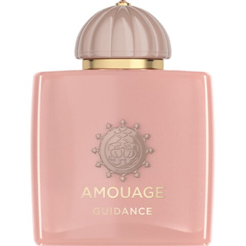 Amouage Guidance