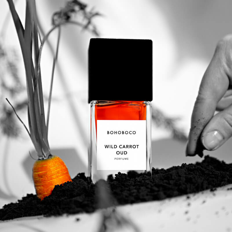 Wild Carrot Oud