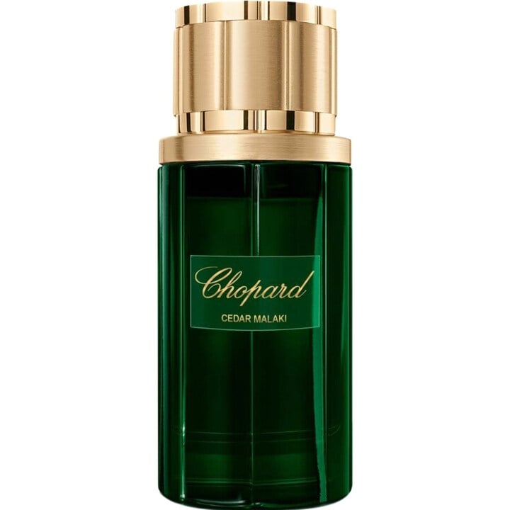 Chopard Cedar Malaki