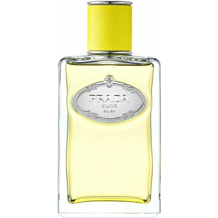 Prada Infusion d`Ylang