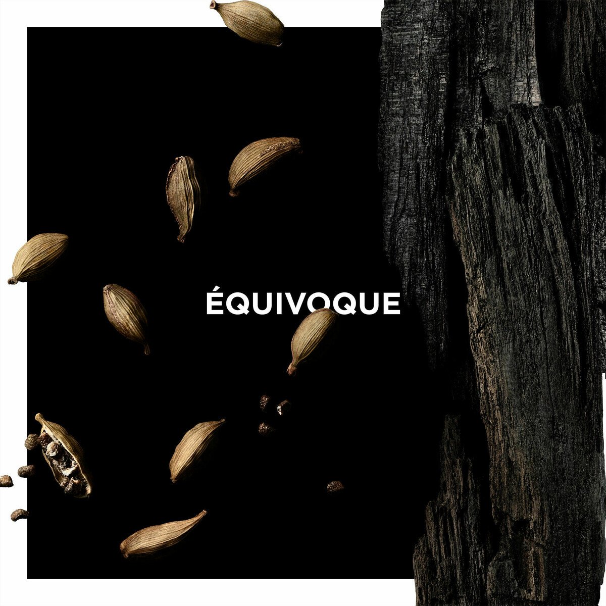 Equivoque