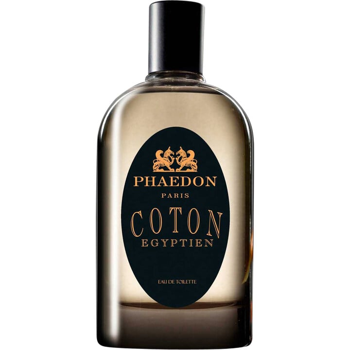 Phaedon Coton Egyptien