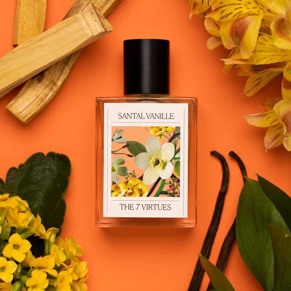 Santal Vanille