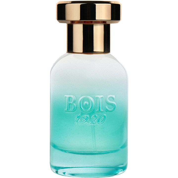Bois 1920 Marasma Bois 1920 Marasma