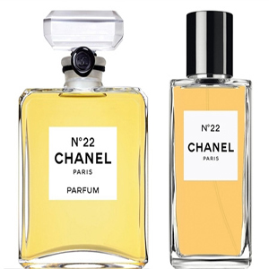 Chanel Chanel Collection 22