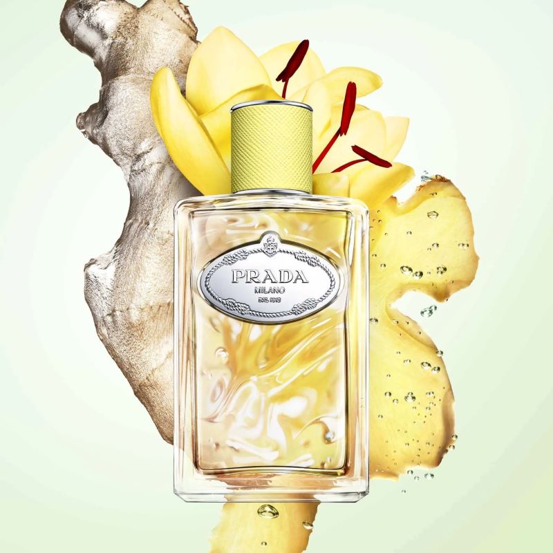 Infusion de Gingembre